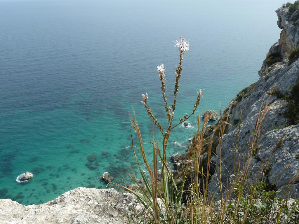 Fiori E Limoni Bed and Breakfast Quartucciu Buitenkant foto